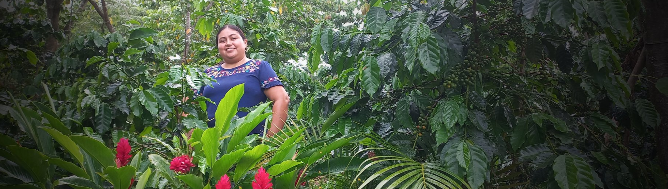 Mexico hållbarhetsarbete