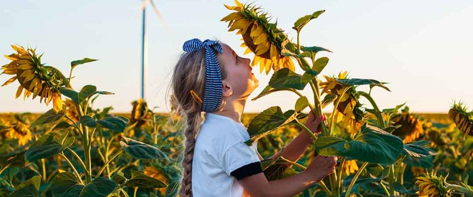 nestlé net zero roadmap