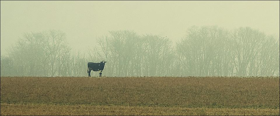 Planetpro realitetstjek