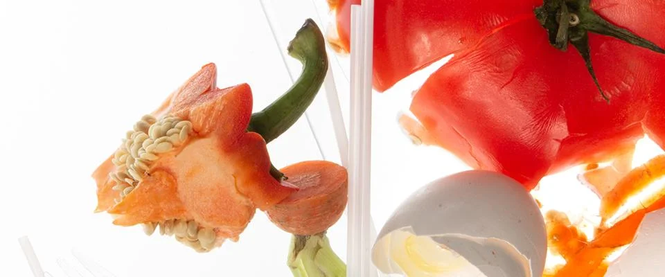 Rest-dilemmaet planetpro nestlé professional food