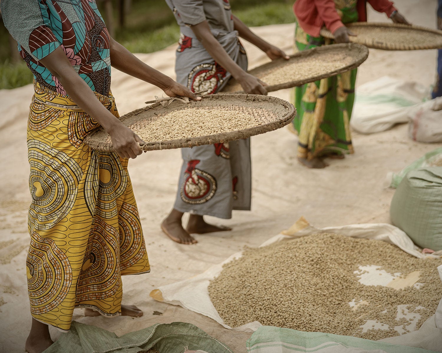 Kvinnor är kaffets röda tråd