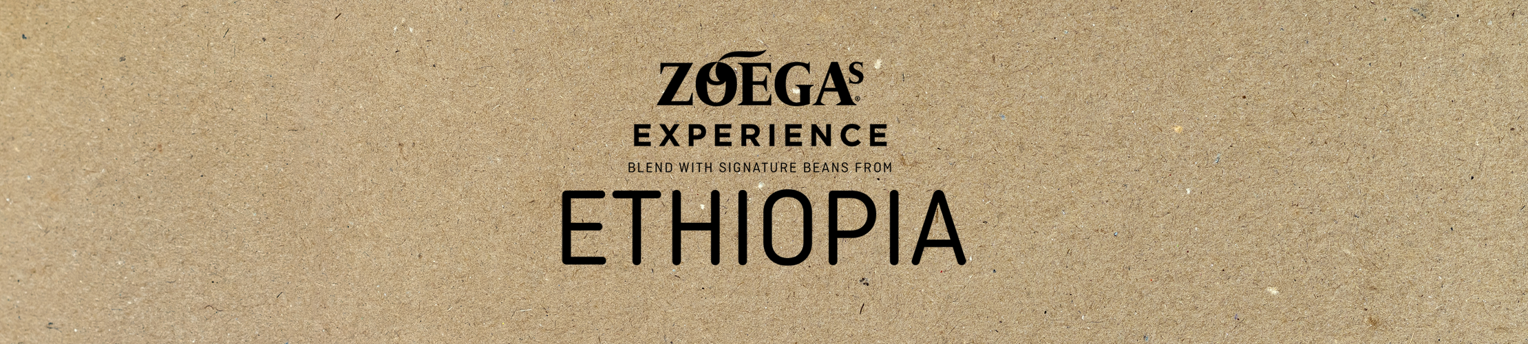 zoegas experience ethiopia news