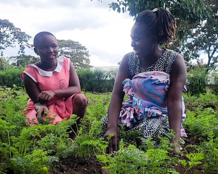 zoegas julkaffe 2023 projekt odling kvinnor