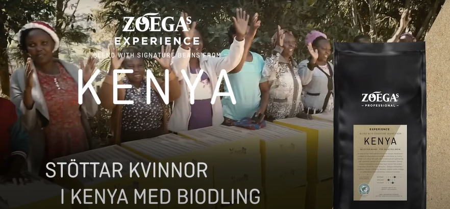 Zoegas-experience-kenya-thumbnail