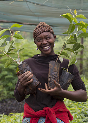 En kvinnlig arbetare från kaffefälten med tre kaffeväxter i händerna, ler.