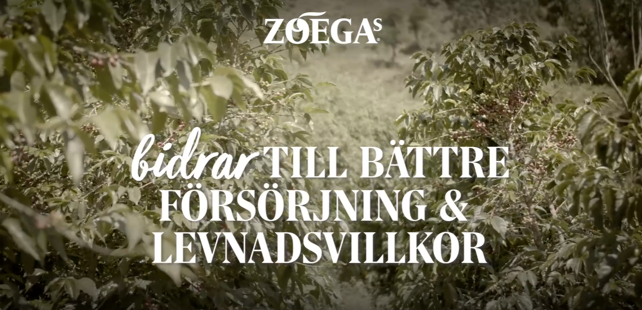 zoegas hållbarhetsprojekt thumbnail