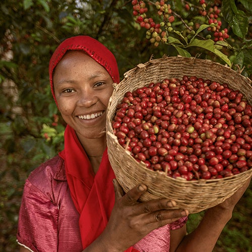 En arbetare som ler med en korg full av mogna kaffebönor.