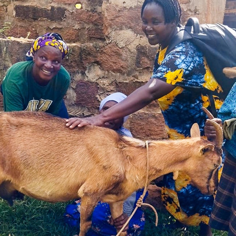 Zoegas Summer Coffee Nestlé Professional