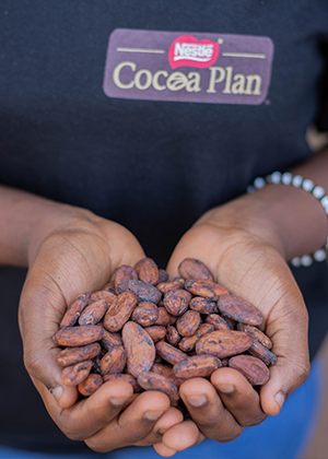 Händer fulla av Nestlé kaffebönor