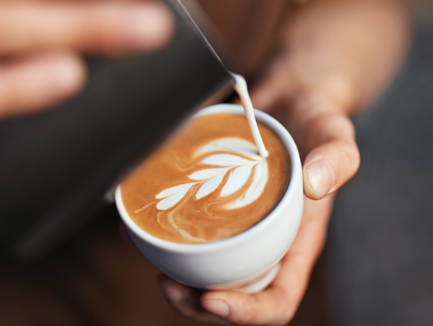 kaffe nestle professional