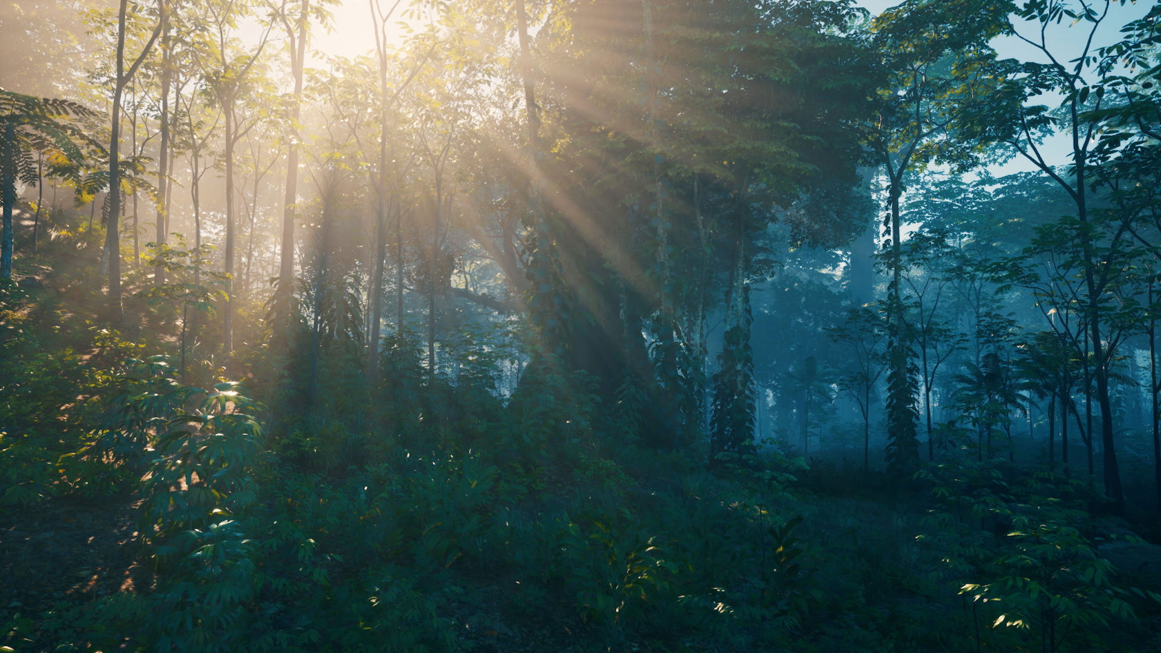 Zoégas Experience Espresso Header