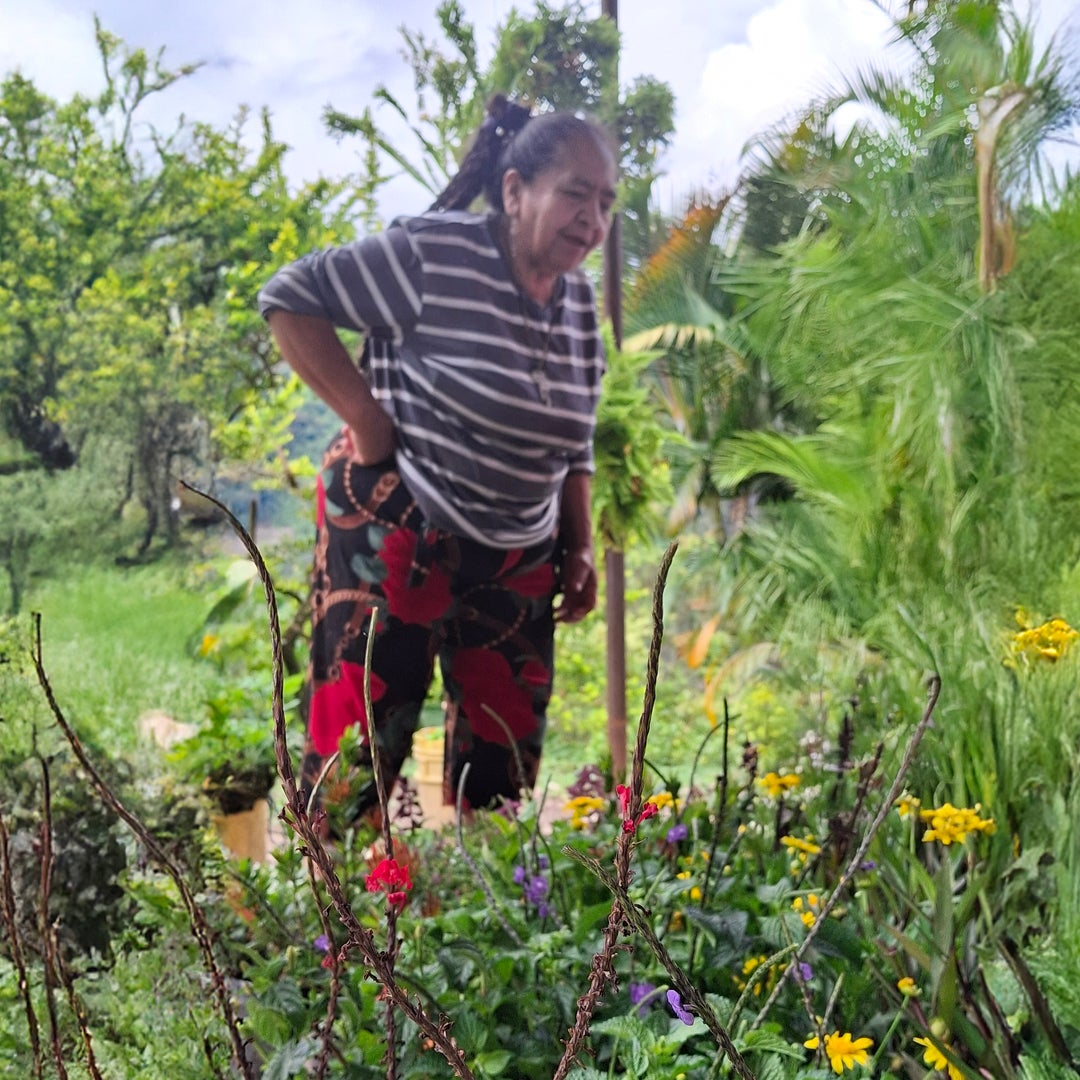 MonAmie-Blommor-ger-nya-möjligheter