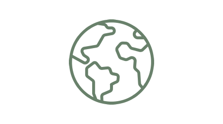 icon earth