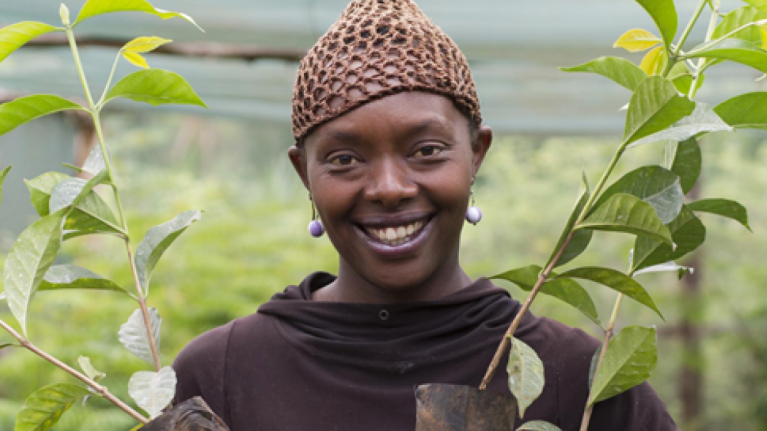 nescafe plan farmer plant