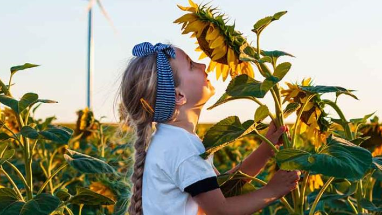nestlé net zero roadmap 