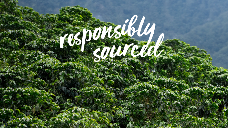 nestle professional responsibly sourced