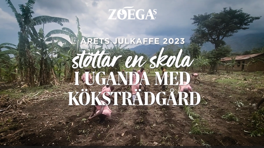 zoegas julkaffe 2023 csv