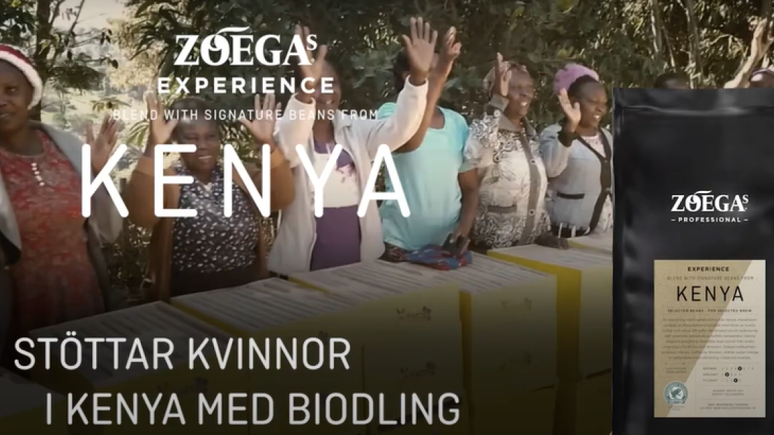 Zoegas-experience-kenya-thumbnail
