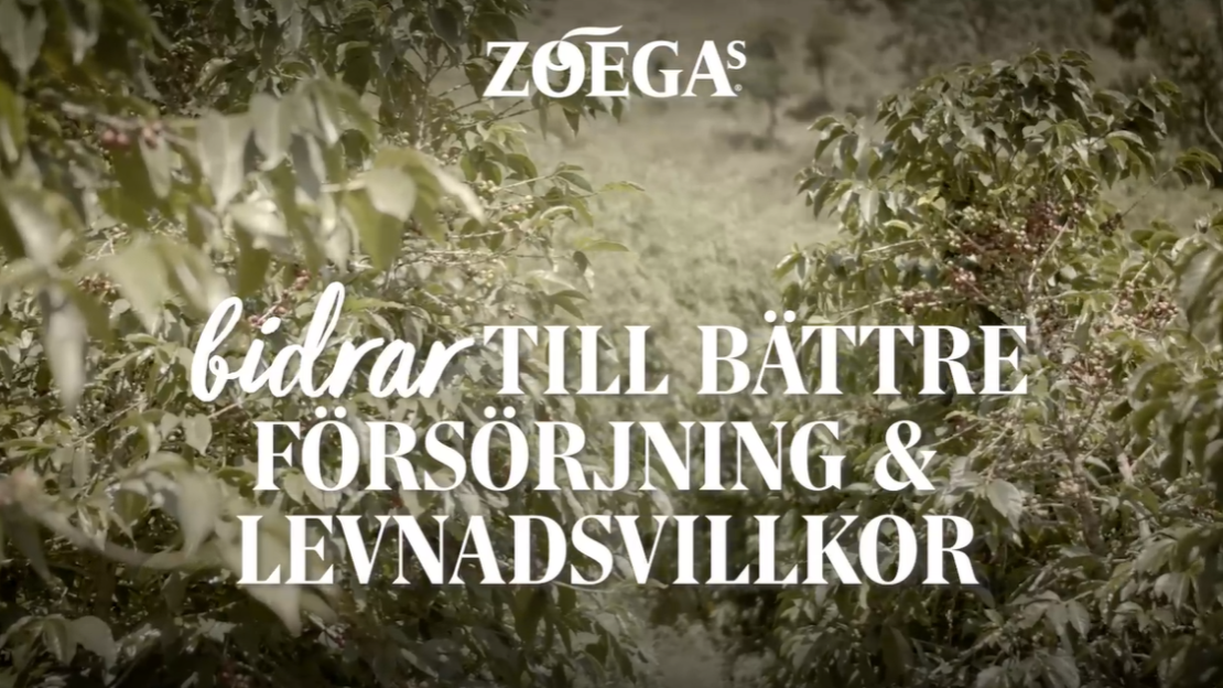 zoegas hållbarhetsprojekt thumbnail