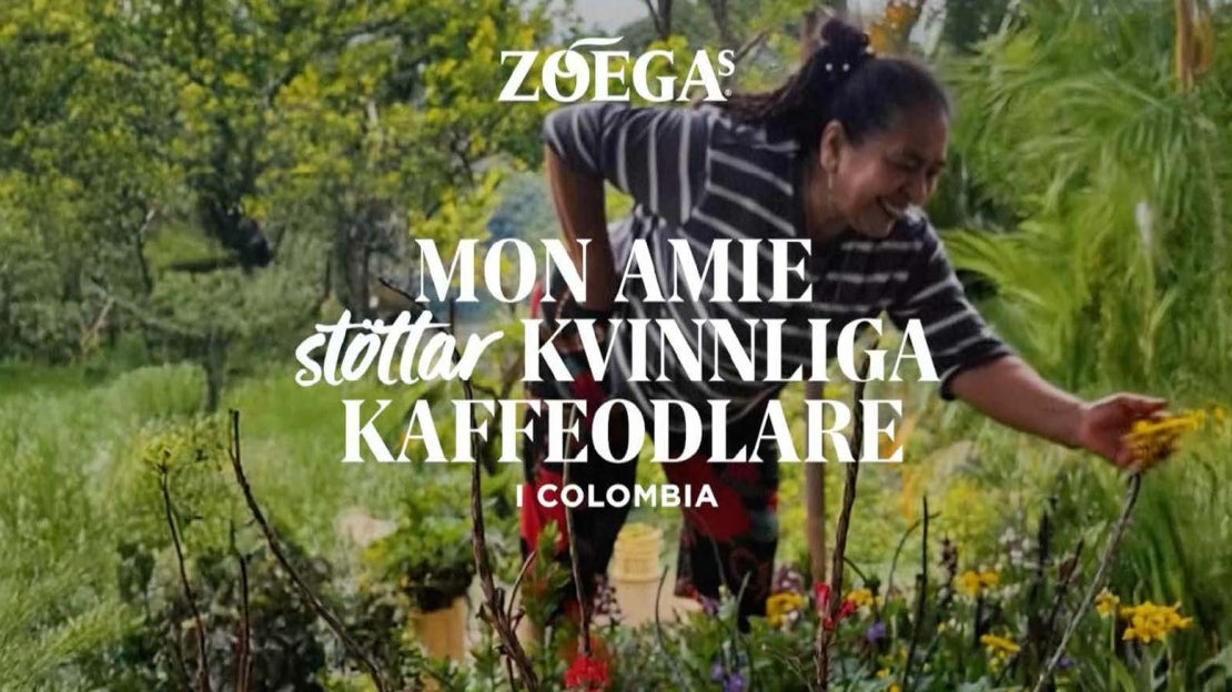 MonAmie-Video