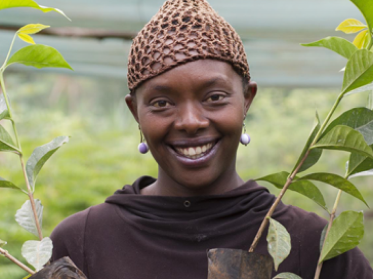 nescafe plan farmer plant