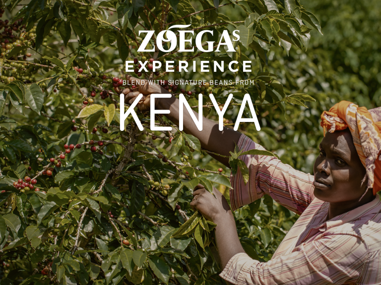 zoegas experience kenya header