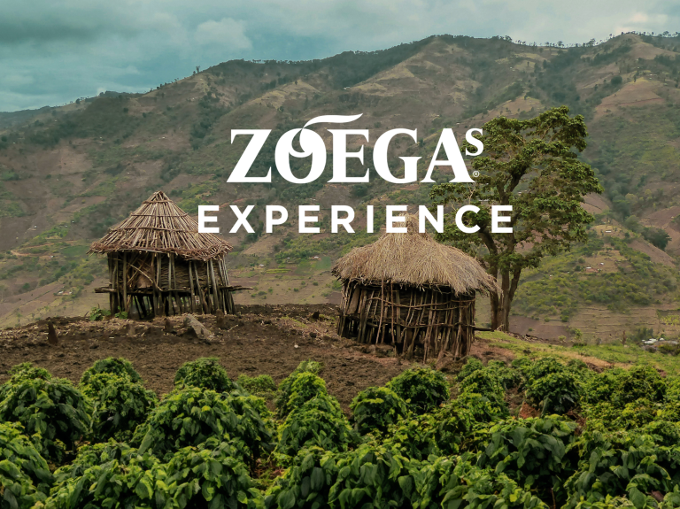 zoegas experience news cover