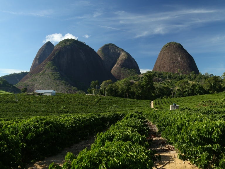 Nestlés plantager i Água Branca, Brasilien.