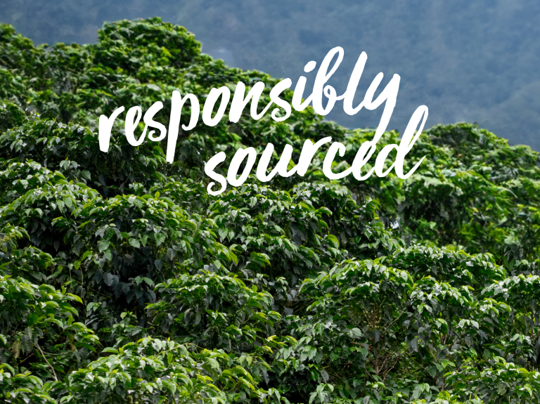 nestle professional responsibly sourced