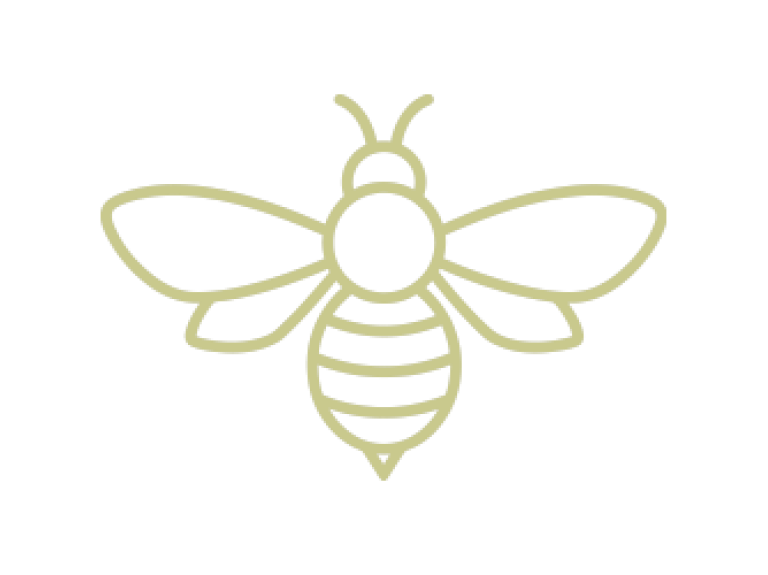 icon bee