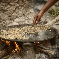 zoegas experience ethiopia coffee roasting