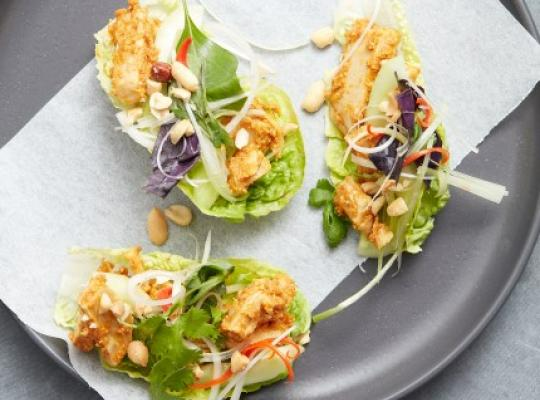 SALATWRAPS MED SENSATIONAL™ FILLET PIECES SATAY