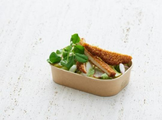 VEGAN SCHNITZEL MED FÄRSKPOTATIS, RÖKT OST MED RAMSLÖK, RÄDISOR, GURKA OCH SPARRIS