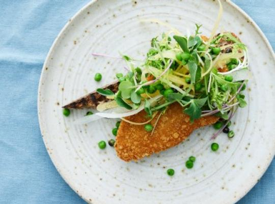 grillet-surdejsbroed-knuste-salat-breaded-fillet-halsans-kok-opskrift