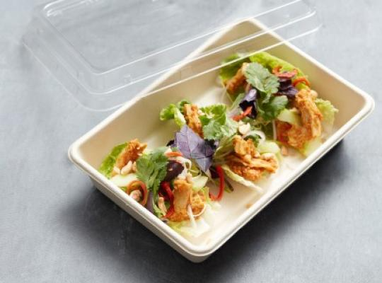 salat-wrap-satay-fillet-pieces