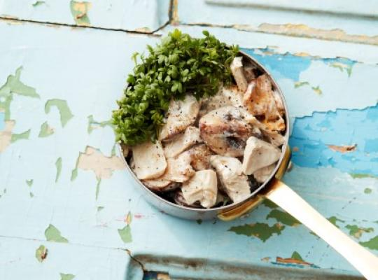 svampecreme-halsans-kok-fillet-pieces