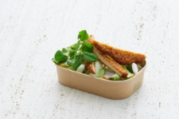 VEGAN SCHNITZEL MED FÄRSKPOTATIS, RÖKT OST MED RAMSLÖK, RÄDISOR, GURKA OCH SPARRIS