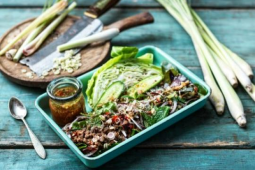 LARB-SALLAD FRÅN NORRA THAILAND MED WOKAD VEGAN MINCE, KRYDDIG NAM JIM-DRESSING, ÖRTER, KÅL OCH GURKA