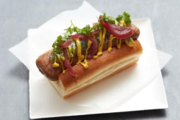 BOSTON STYLE SENSATIONAL HOTDOG