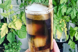 cold brew tonic recept