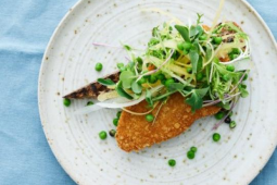 grillet-surdejsbroed-knuste-salat-breaded-fillet-halsans-kok-opskrift
