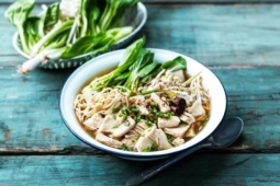 opskrift thailandsk nudelsuppe halsans kok fillet pieces