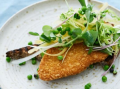 grillet-surdejsbroed-knuste-aerter-breaded-fillet-halsans-kok-opskrift
