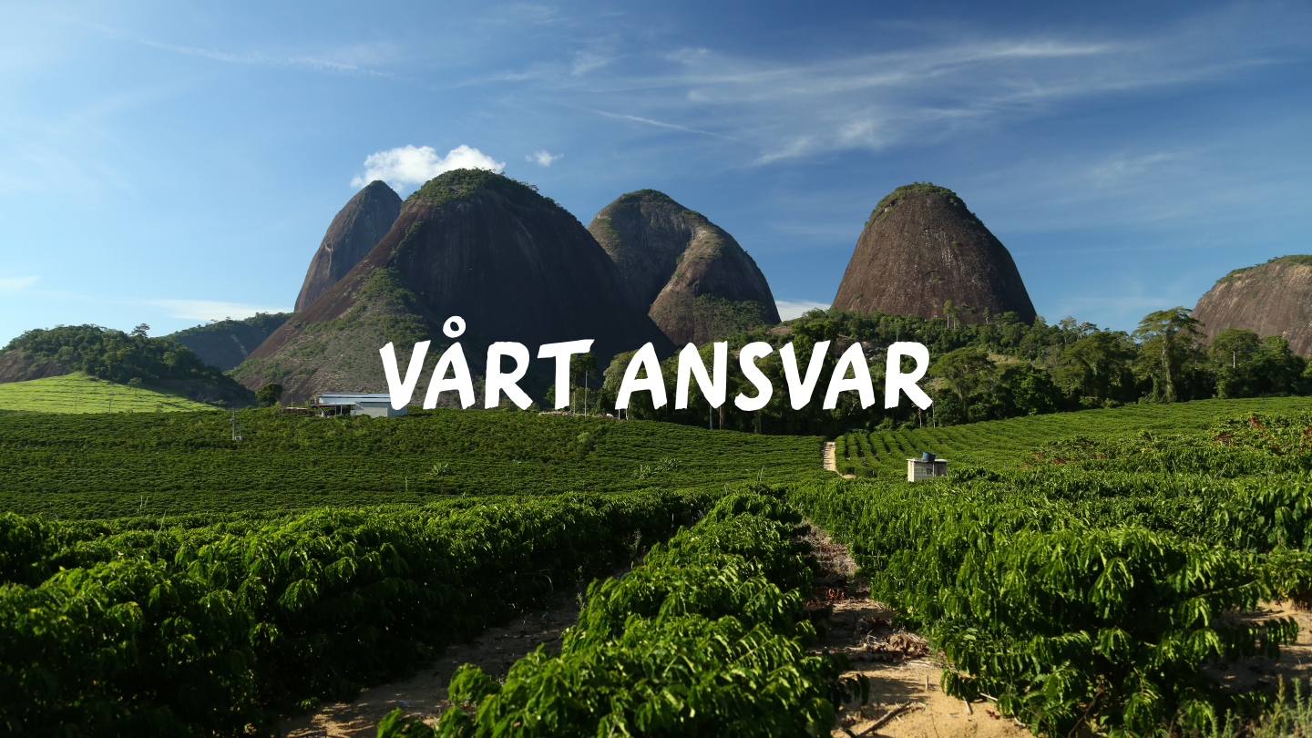 Vårt Ansvar Banner