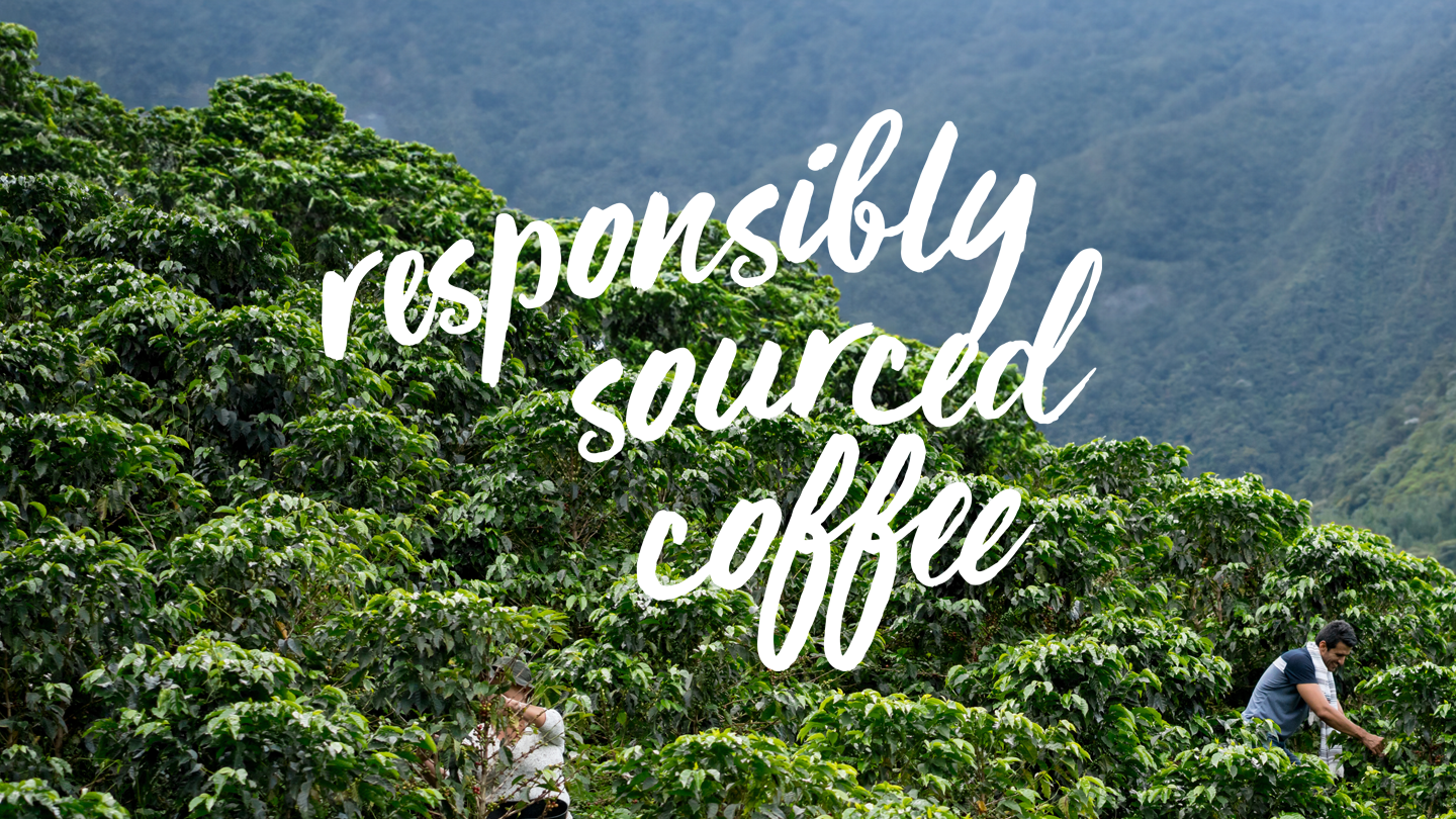 responsibly sourced kaffe från nestle professional