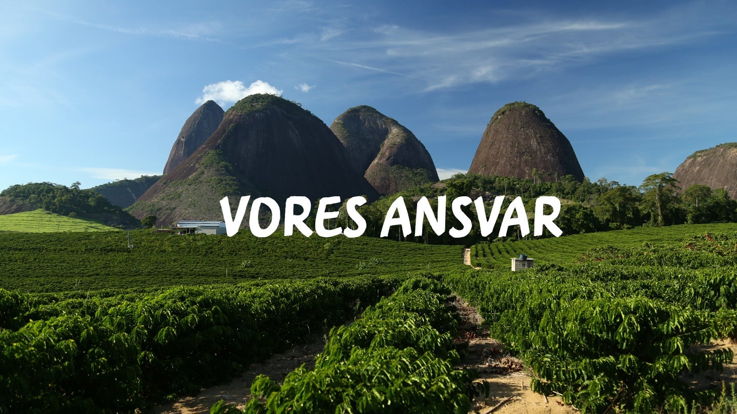 Vores ansvar