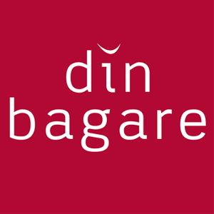 din bagare logotype